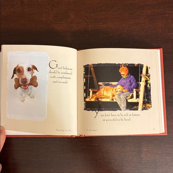 What Dogs Teach Us: Life's Lessons Learned from Our Best Friend by Glenn Dromgoe - Picture 5 of 6